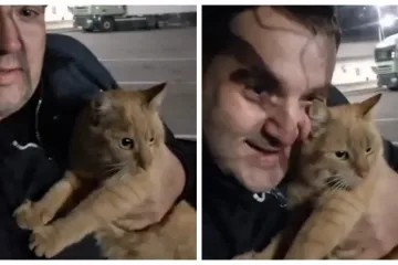 Supruga mu je naložila da izabere između nje ili mačke, sada je sretno razveden