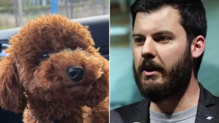 Oglasio se mlađi brat Mate Rimca: Nudio 5.000 eura za pronalazak psa, ovako je završila potraga