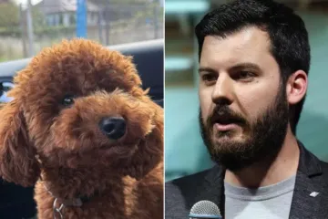 Oglasio se mlađi brat Mate Rimca: Nudio 5.000 eura za pronalazak psa, ovako je završila potraga