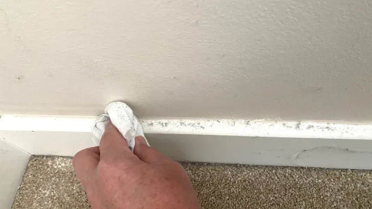 Guru za čišćenje otkriva jednostavne trikove: Spriječite nakupljanje prašine