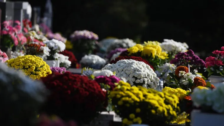 Slojevito značenje: Znate li što simbolizira cvijeće koje nosimo na groblje?