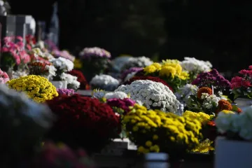 Slojevito značenje: Znate li što simbolizira cvijeće koje nosimo na groblje?