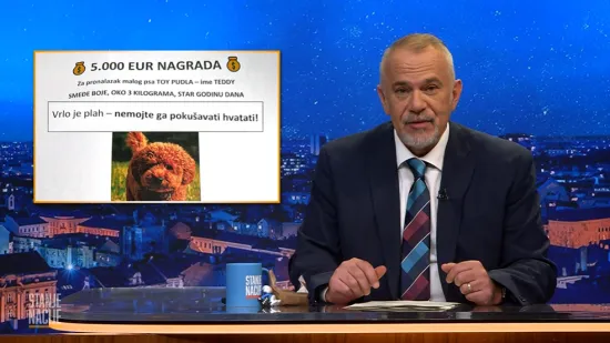 Pas od brata Mate Rimca nestao kao 180 milijuna za robotaxi... Valjda su pare dobro udomljene