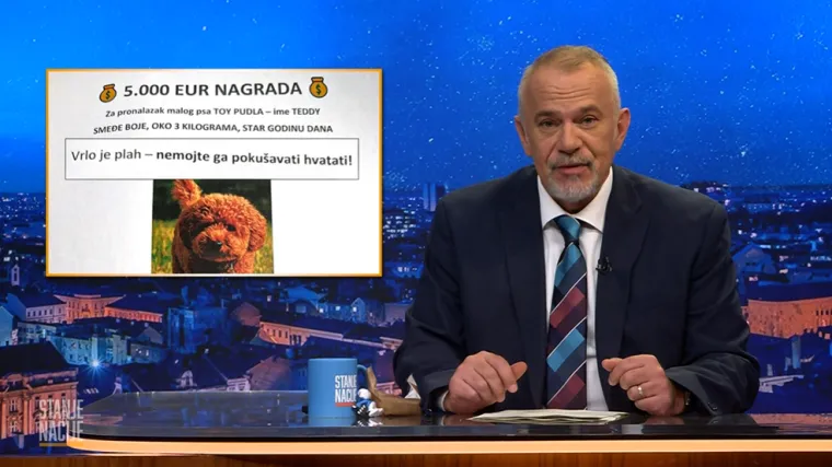 Pas od brata Mate Rimca nestao kao 180 milijuna za robotaxi... Valjda su pare dobro udomljene