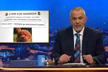 Pas od brata Mate Rimca nestao kao 180 milijuna za robotaxi... Valjda su pare dobro udomljene