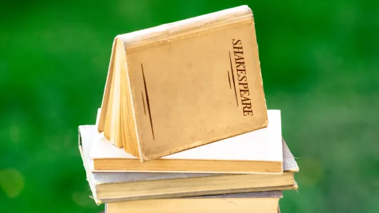 [KVIZ] Znaš li kojim književnim djelima pripadaju ovi likovi?