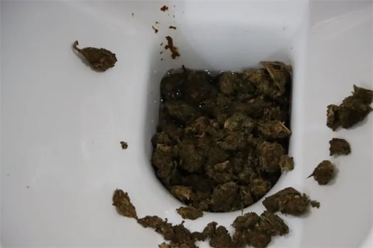 Žena se, na nagovor muža, u zadnji tren pokušala riješiti droge: Pogledajte što je sve ostalo u zahodu