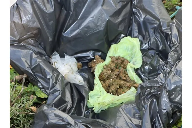 Žena se, na nagovor muža, u zadnji tren pokušala riješiti droge: Pogledajte što je sve ostalo u zahodu