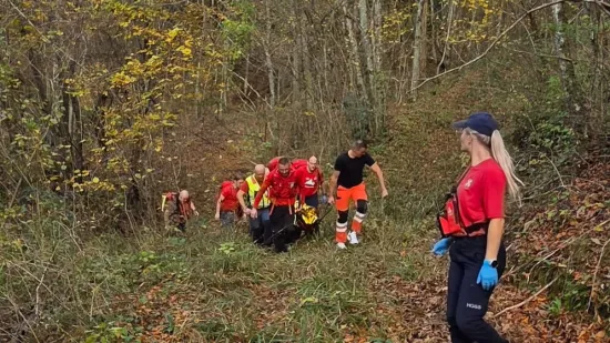 Baka preživjela pet dana u šumi bez hrane i vode, bila je nepomična! 'Iznenadilo nas je'