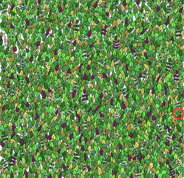 Ova potraga za žabom izludjela je Internet: Ako je vidite u roku od minute, imate oči sokolove