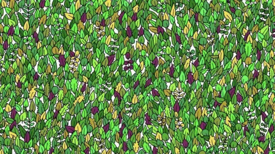 Ova potraga za žabom izludjela je Internet: Ako je vidite u roku od minute, imate oči sokolove