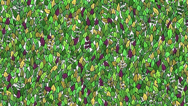 Ova potraga za žabom izludjela je Internet: Ako je vidite u roku od minute, imate oči sokolove