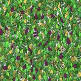 Ova potraga za žabom izludjela je Internet: Ako je vidite u roku od minute, imate oči sokolove