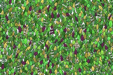 Ova potraga za žabom izludjela je Internet: Ako je vidite u roku od minute, imate oči sokolove