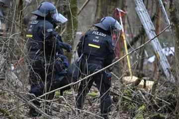 Fabiana (8) pronašli spaljenog u šumi: Policija potvrdila uznemirujuću teoriju