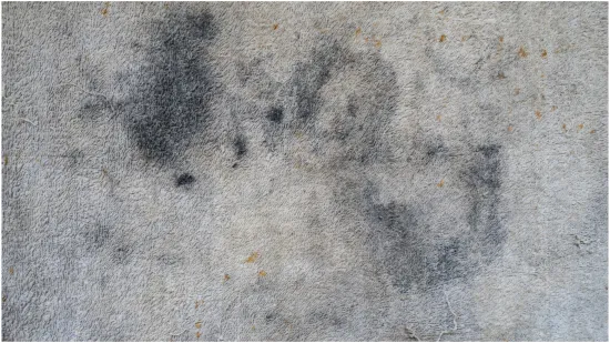 Riješite se mrlja na tepihu: Uz pomoć ova dva sastojka iz kuhinje, problem će nestati