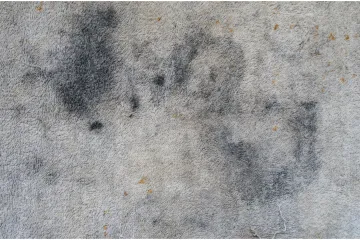 Riješite se mrlja na tepihu: Uz pomoć ova dva sastojka iz kuhinje, problem će nestati