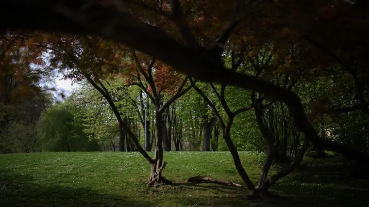 Stranac na Ribnjaku silovao Japanku usred bijela dana: 'Žao mi je'