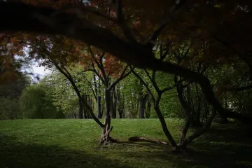 Stranac na Ribnjaku silovao Japanku usred bijela dana: 'Žao mi je'