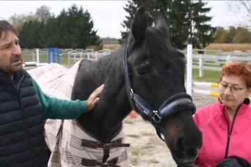 Ima '140 godina', živi u Vrbovcu i zove se Valkira: Upoznajte najstarijeg konja u Hrvatskoj