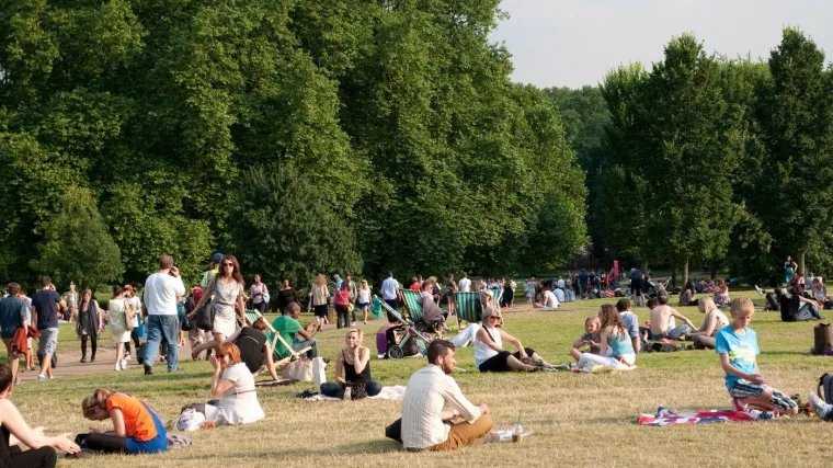 Invazivna vrsta stigla u Europu! Napada ljude, peče kao vatra i uništava sve na svom putu