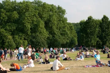 Invazivna vrsta stigla u Europu! Napada ljude, peče kao vatra i uništava sve na svom putu