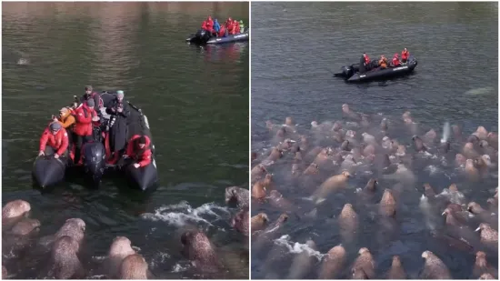 Fotografa u gumenom čamcu dočekalo iznenađenje: Snimka je postala hit, a skriva važnu poruku
