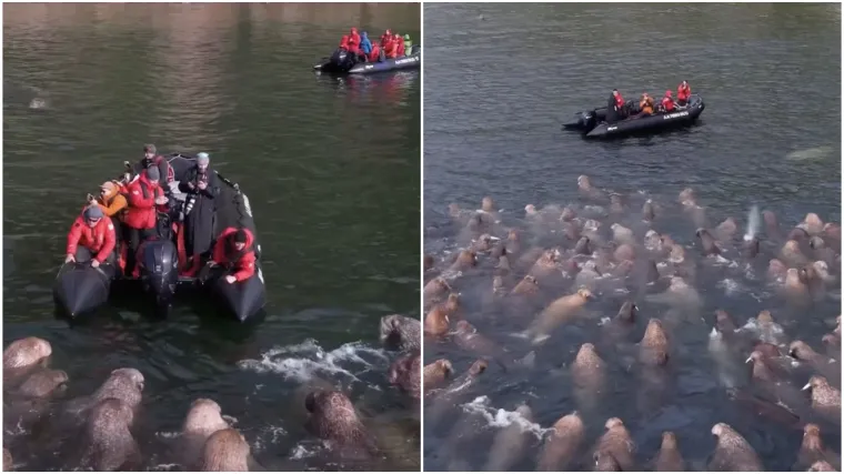 Fotografa u gumenom čamcu dočekalo iznenađenje: Snimka je postala hit, a skriva važnu poruku