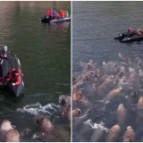 Fotografa u gumenom čamcu dočekalo iznenađenje: Snimka je postala hit, a skriva važnu poruku