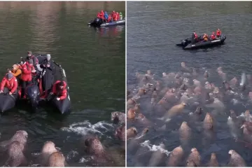 Fotografa u gumenom čamcu dočekalo iznenađenje: Snimka je postala hit, a skriva važnu poruku