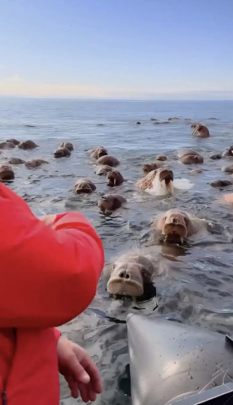 Fotografa u gumenom čamcu dočekalo iznenađenje: Snimka je postala hit, a skriva važnu poruku