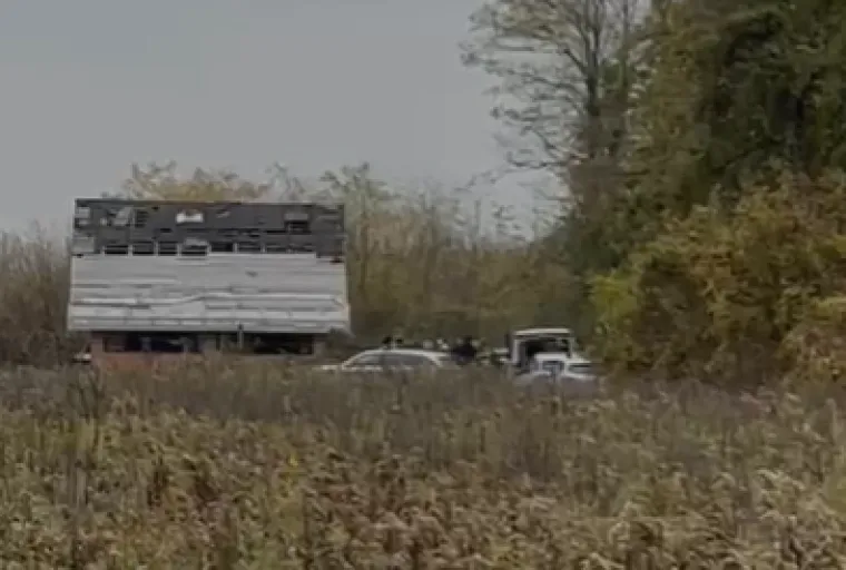 Horor kod Velike Gorice: Žena (40) oštrim predmetom ubila člana obitelji