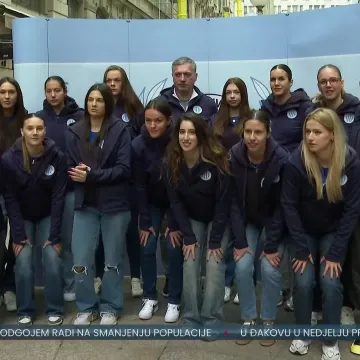 Šarić: 'Dinamo mora dobiti Istru! Zbog stanja na tablici, ali i zbog cijele atmosfere u klubu'