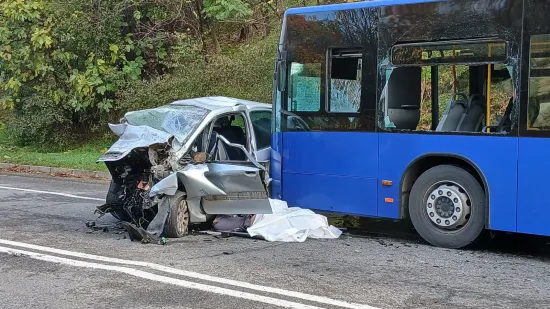 Auto zgužvan nakon sudara s autobusom, vozač umro na mjestu: U bolnici završilo osam ljudi
