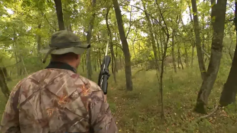 Nemar i nepotrebna zapošljavanja: Revizija šokirana stanjem u Lovačkom savezu