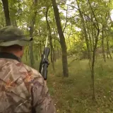 Nemar i nepotrebna zapošljavanja: Revizija šokirana stanjem u Lovačkom savezu