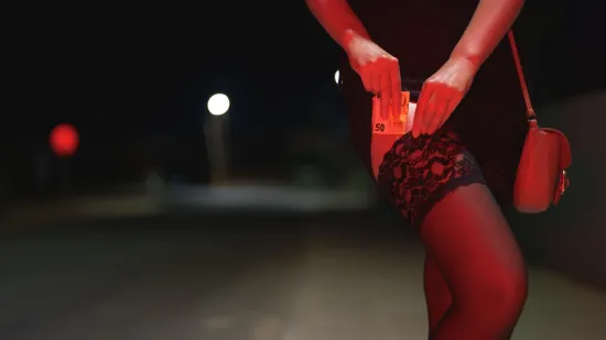 Grad pun delegata i eskort dama: 'Ja nisam ulična prostitutka, zaradila sam dovoljno za stan'