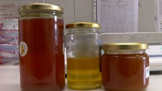 Svaka četvrta teglica meda u Hrvatskoj je patvorena: 'Dodaju sirup, izgleda kao pravi med'