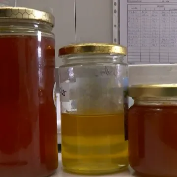 Svaka četvrta teglica meda u Hrvatskoj je patvorena: 'Dodaju sirup, izgleda kao pravi med'