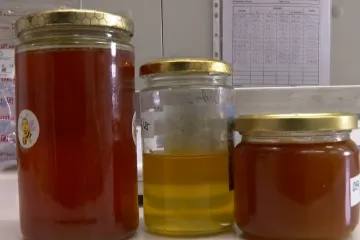 Svaka četvrta teglica meda u Hrvatskoj je patvorena: 'Dodaju sirup, izgleda kao pravi med'
