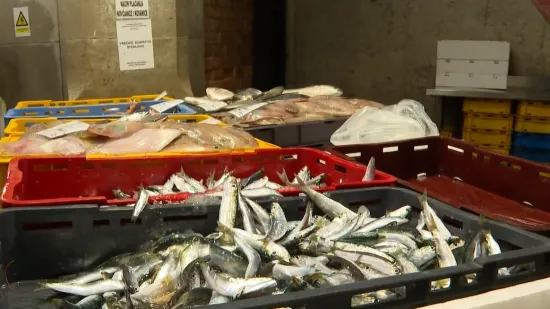 Konačno je ima i stigla je u ribarnicu! Zbog nje su neki stajali u redovima: 'Divota Božja'