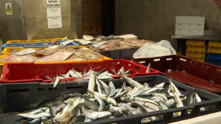 Konačno je ima i stigla je u ribarnicu! Zbog nje su neki stajali u redovima: 'Divota Božja'