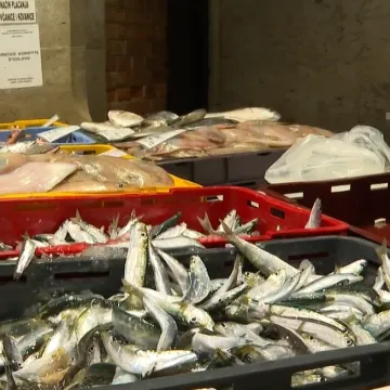 Konačno je ima i stigla je u ribarnicu! Zbog nje su neki stajali u redovima: 'Divota Božja'