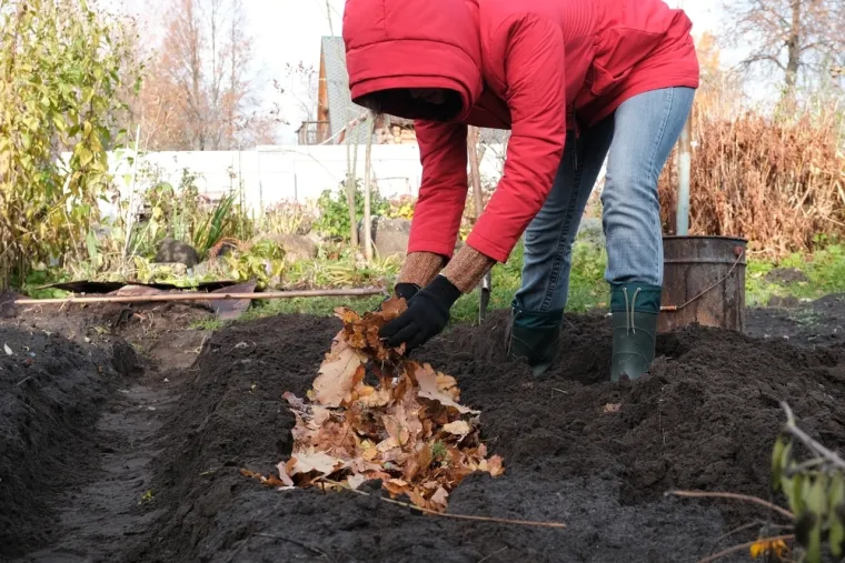 Zaboravite na grablje: Postoji puno jednostavnije i bolje rješenje od sakupljanja lišća