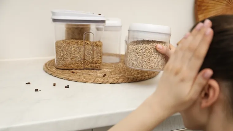 Stari bakin trik otjerat će neželjene insekte iz kuhinje: Taj začin već imate kod kuće