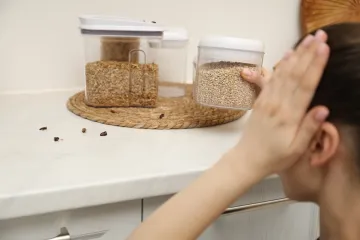 Stari bakin trik otjerat će neželjene insekte iz kuhinje: Taj začin već imate kod kuće