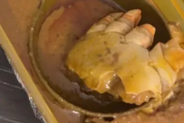 Učinilo joj se da je u naručenom jelu našla komad ljudskog stopala i odmah dozvala policiju