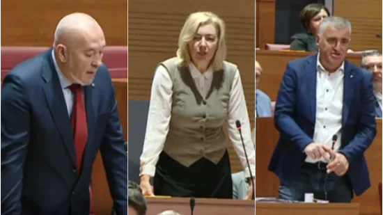 Okršaj Dragane i Predraga u Saboru: 'Ja jesam Srbin, a vi dokažite što ste!'; Bulj ga branio...