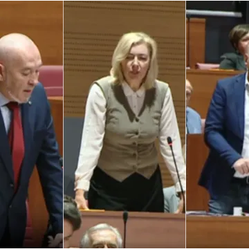 Okršaj Dragane i Predraga u Saboru: 'Ja jesam Srbin, a vi dokažite što ste!'; Bulj ga branio...