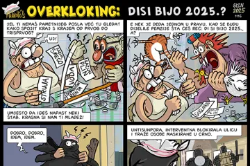 Disi bijo 2025